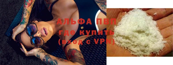 индика Верея