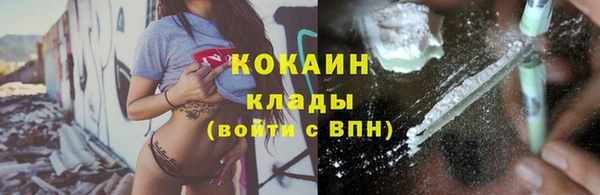 стафф Верхний Тагил