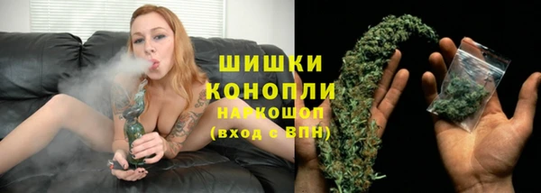 индика Верея