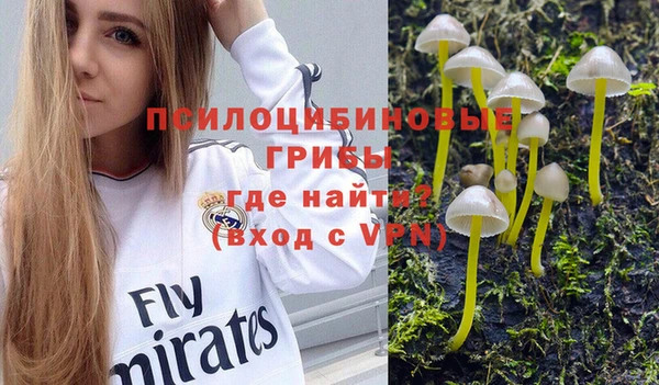 стафф Верхний Тагил