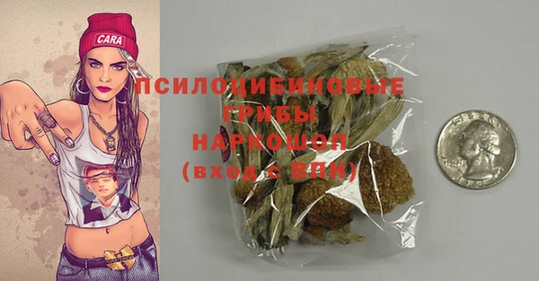 индика Верея